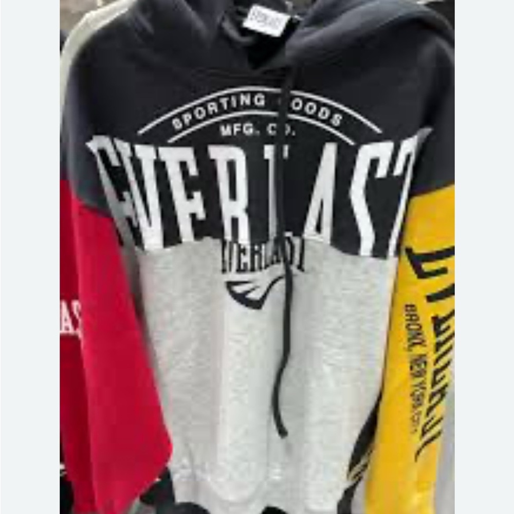 ISO Everlast x Zara colorblock hoodie small or medium